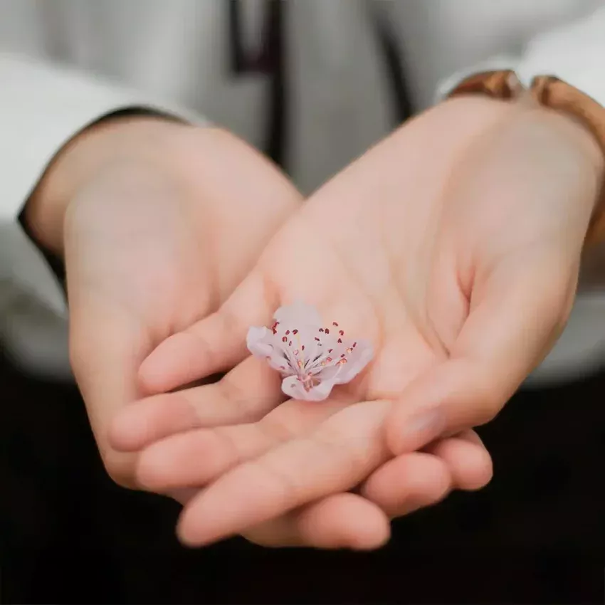 Autocuidado y gestión emocional