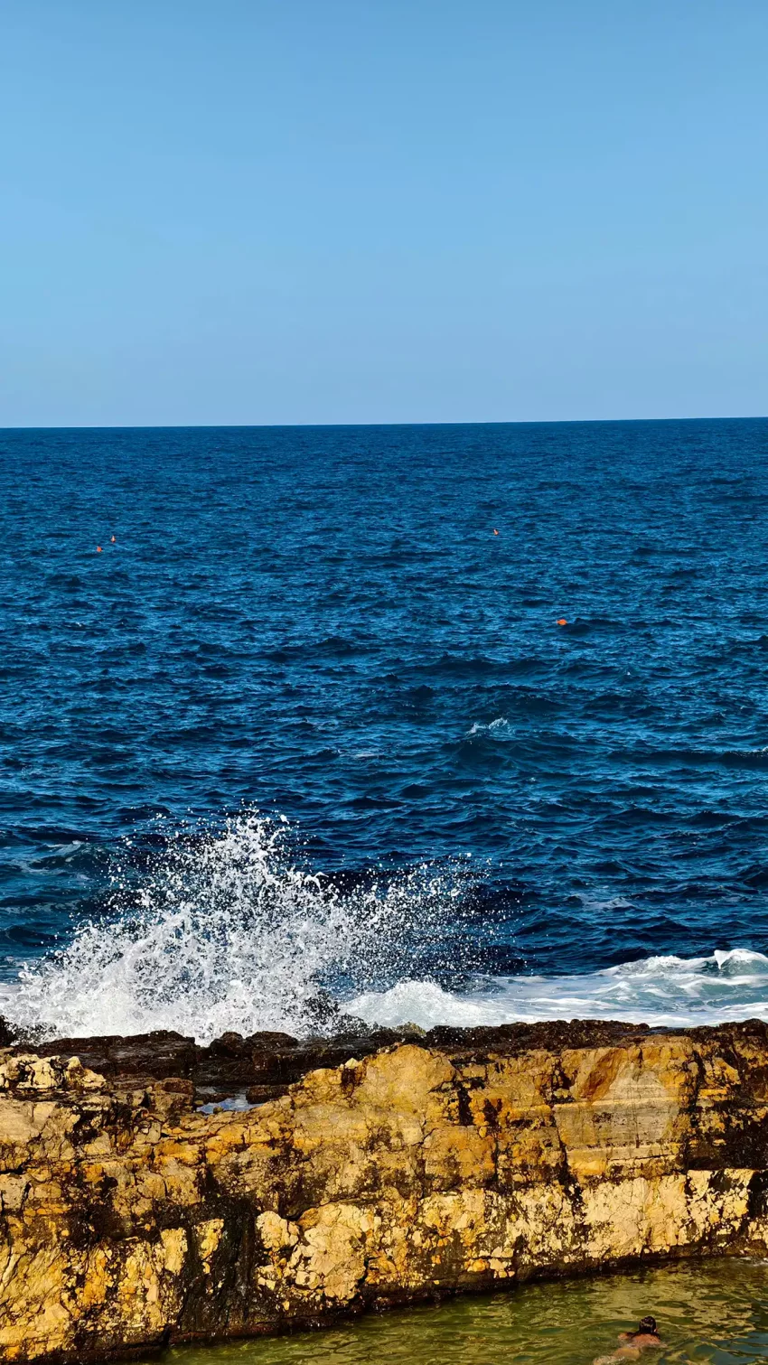 Encuentra a tu profesional de la psicología